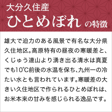 白米 大分県久住産 ひとめぼれ 900g 令和6年産