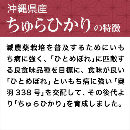 新米 白米 沖縄県産 ちゅらひかり 900g 令和7年産