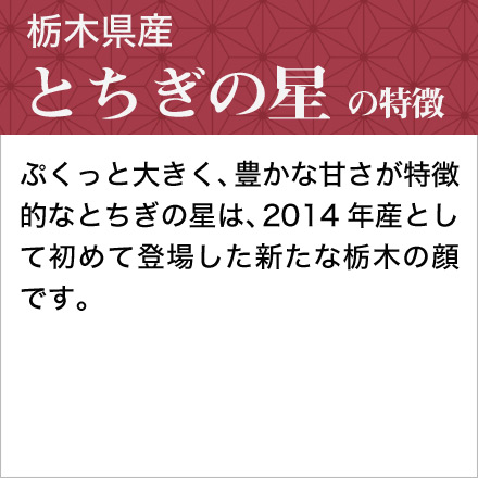 新米 白米 栃木県産 とちぎの星 900g 令和6年産