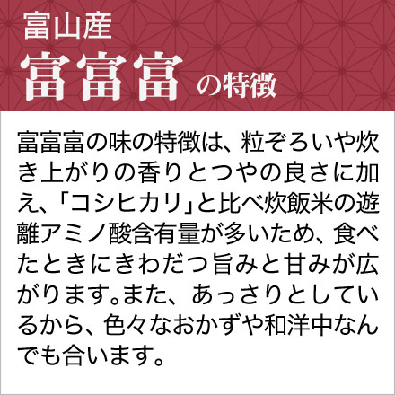 新米 白米 富山県産 富富富 900g 令和6年産