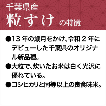 新米 白米 千葉県産 粒すけ 900g 令和6年産