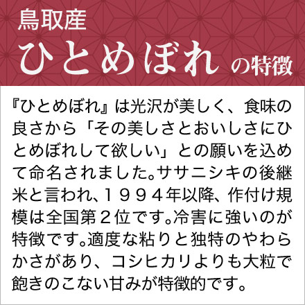 新米 白米 鳥取県産 ひとめぼれ 900g 令和6年産