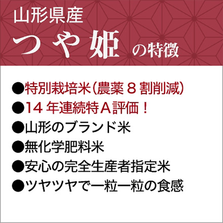 新米 白米 山形県産 つや姫 900g 特別栽培米 令和6年産