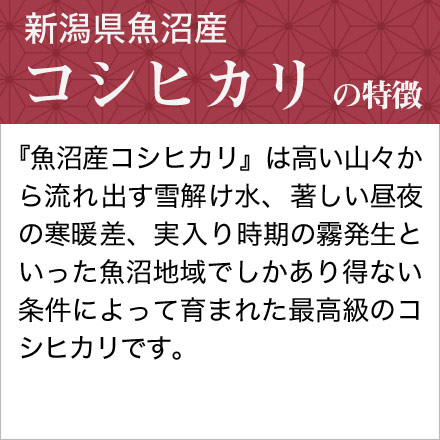新米 白米 新潟魚沼産 コシヒカリ 900g 特A評価 令和6年産