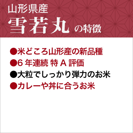 新米 白米 山形県産 雪若丸 900g 特A評価 令和6年産