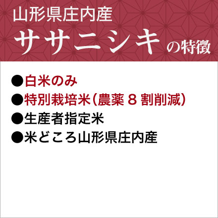 白米 山形県庄内産 ササニシキ 900g 特別栽培米 令和7年産