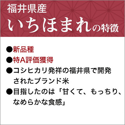 新米 白米 福井県産 いちほまれ 6kg 2kg×3袋 特A評価 令和6年産