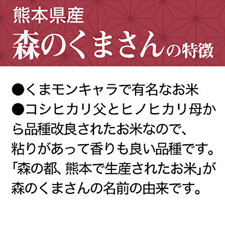 白米 熊本県産 森のくまさん 2kg×1袋 令和7年産
