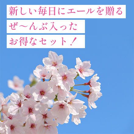 白米 石川産 夢ごこち+青森産 はれわたり+秋田産 サキホコレ 2kg×3種 6kg 令和7年産 極しゃもじ 極冷凍ごはん容器 新生活応援セット 第二弾