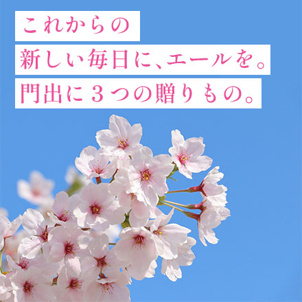 白米 石川産 夢ごこち+青森産 はれわたり+秋田産 サキホコレ オコメール3種食べ比べ 900g 令和7年産 新生活応援セット 第一弾