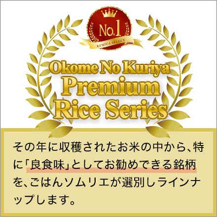 白米 プレミアムライスシリーズ 島根県産 きぬむすめ 6kg 2kg×3袋 令和7年産