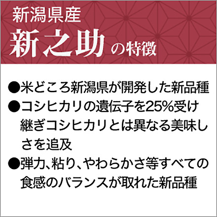 新米 白米 新潟県産 新之助 24kg 2kg×12袋 令和6年産