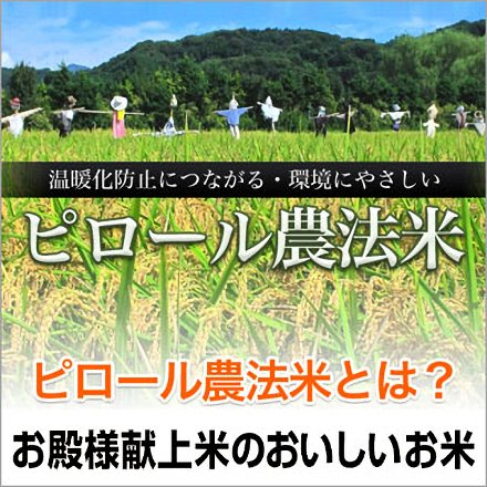 白米 徳島県産 ピロール農法米 〈コシヒカリ〉 24kg 2kg×12袋 令和7年産 〈未検査米〉