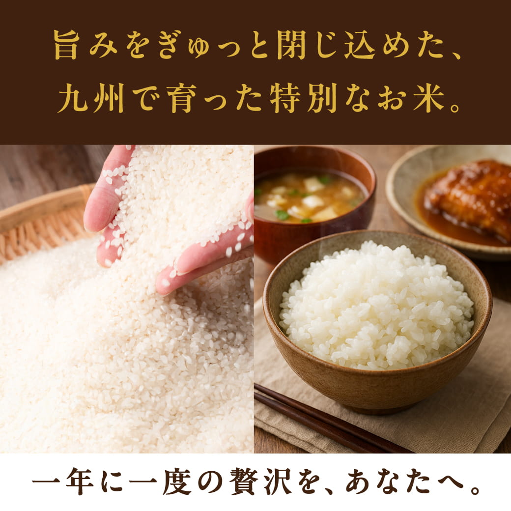 タマチャンショップ 宮崎産アキダワラ 精白米 10kg 令和7年産