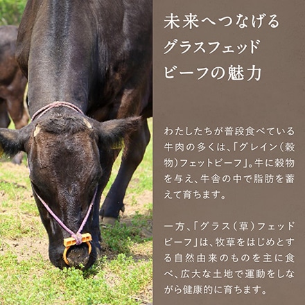 Dr.Beef 純日本産 グラスフェッドビーフ 黒毛和牛 ローストビーフ用 ブロック 300g