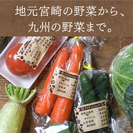 タマチャンショップ 九州野菜詰め合わせセット 18品