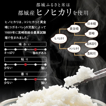 タマチャンショップ 都城ふるさと米 精白米 300g ( 2合 )