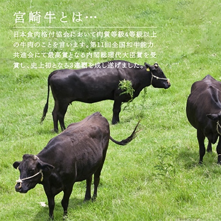 タマチャンショップ 宮崎牛 サーロイン 約200g×2枚