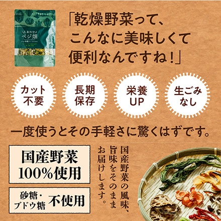 タマチャンショップ ななつのしあわせベジ畑 50g 乾燥野菜 和風ベース