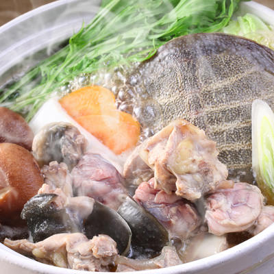 かけ流しの天然温泉で育てた柔らかさが自慢！　耶馬溪鍋用すっぽん切り身（冷凍）　耶馬溪すっぽん・大分県