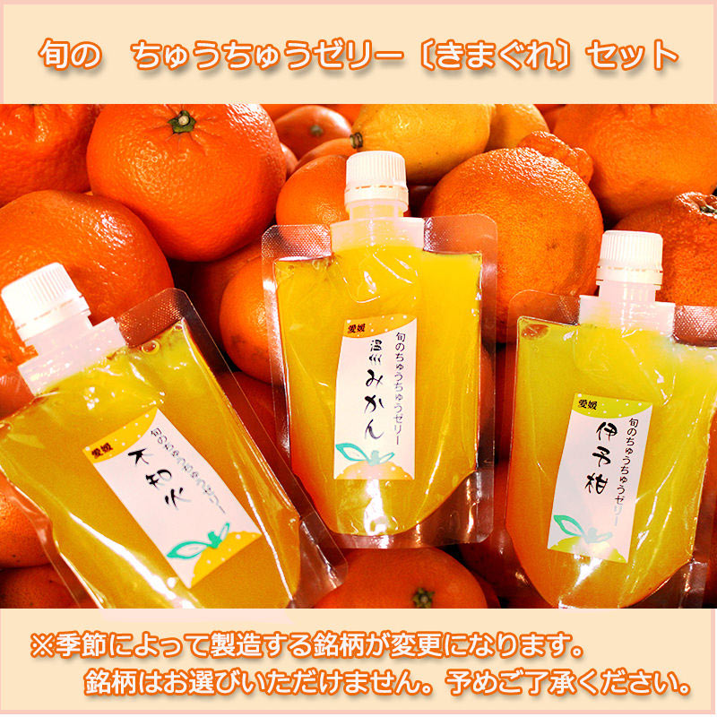旬のちゅうちゅうゼリーきまぐれセット〔175g×10個 ※ゼリー銘柄はおまかせ〕
