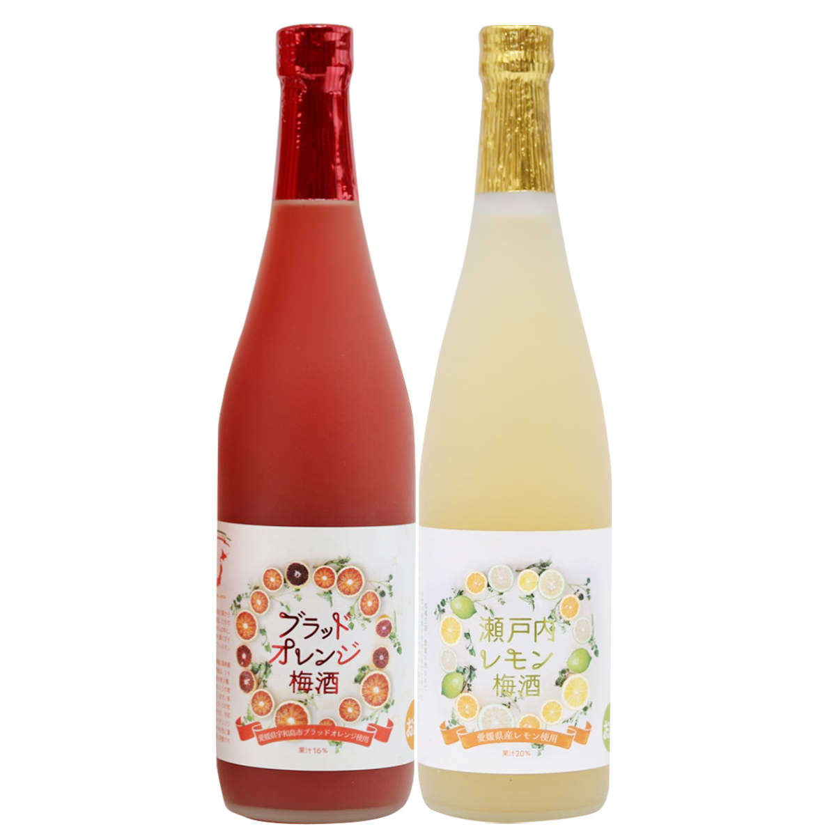 ブラッドオレンジ梅酒 瀬戸内レモン梅酒 セット〔梅酒2種各720ml〕 リキュール 愛媛 名門サカイ