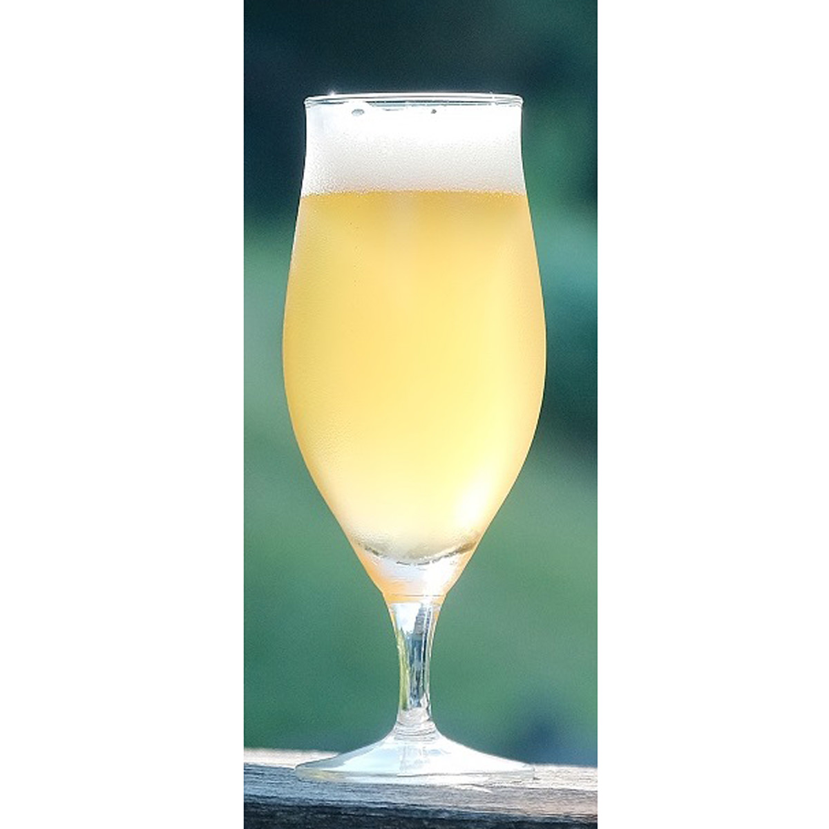ORIHIME IPA 355ml 缶 〔355ml×8〕 発泡酒【北海道・沖縄県・離島 配送不可】