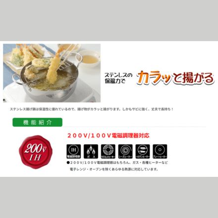 ウルシヤマ金属 ステンレス揚げ鍋 20cm 日本製 12140