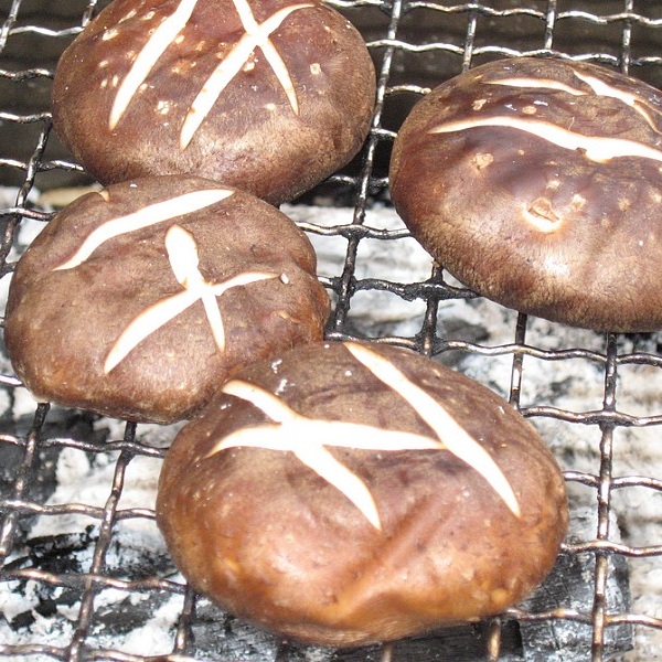 菌床生しいたけ Lサイズ 8玉×2P