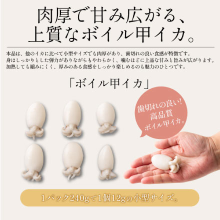 ボイル 甲イカ コウイカ