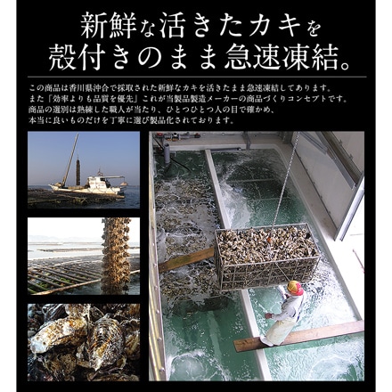 缶焼き 殻付き牡蠣 香川県産 3kg