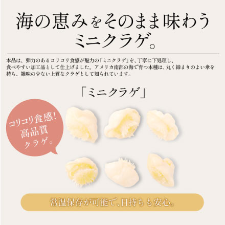 ミニクラゲ クラゲ 1kg