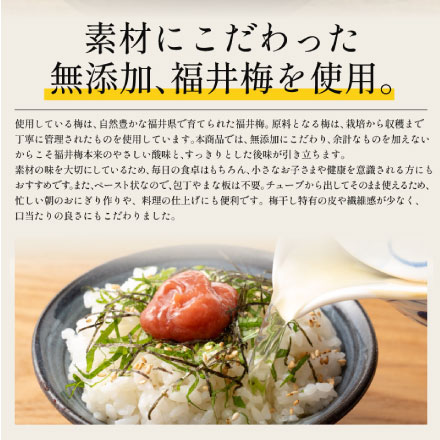 無添加 国産 ねり梅 種類が選べる 140g×2個セット