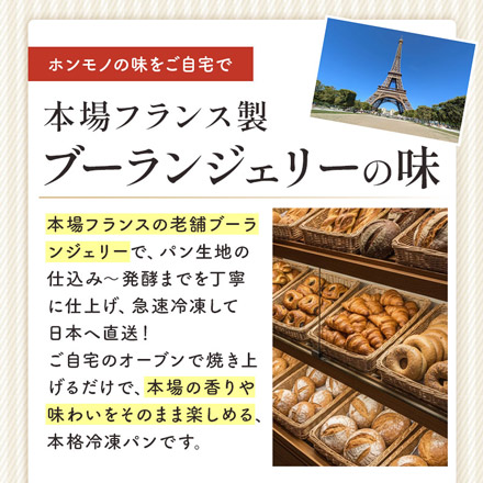 ミニ クロワッサン 冷凍パン 20個 フランス産