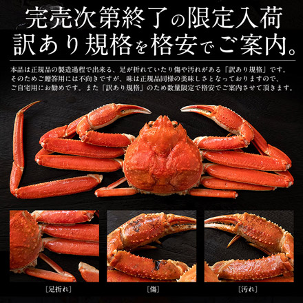 訳あり 北海道産 オオズワイガニ 姿 3kg （7-9尾入り） ボイル