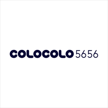 コロコロ COLOCOLO5656 どっちも用 本体L C4511