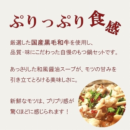 博多名物 国産 黒毛和牛 もつ鍋セット 2～3人前 ホルモン 小腸200ｇ×2袋(400g)　スープ250ｇ