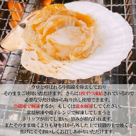 北海道産 ホタテ殻付き 片貝ほたて 1袋 10枚入