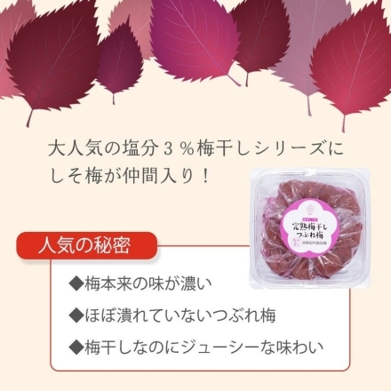 訳あり 紀州南高梅 梅干し 大粒 つぶれ梅 塩分3% しそ梅 低塩 400g