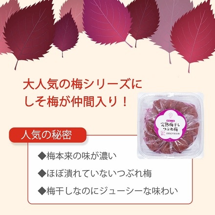 訳あり 紀州南高梅 梅干し 大粒 つぶれ梅 塩分18% しその葉入り しそ梅 低塩 1.6kg (400g×4個)