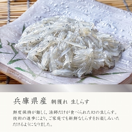 生しらす 兵庫県産 朝獲れ 生しらす 100g×5 500g