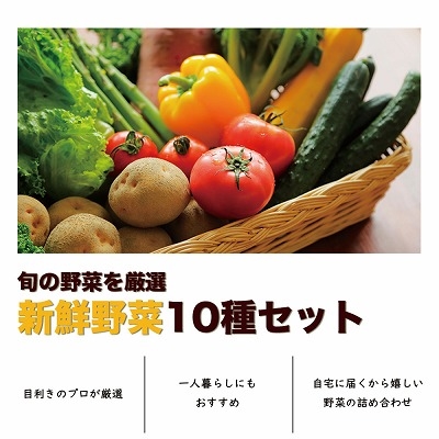 お任せ 野菜セット 約10種 旬のお野菜を楽しめる詰め合わせ