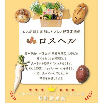 訳あり 食品 ロスヘル 野菜 果物 詰め合わせ セット 【合計7種類以上 約3-5kg 】規格外野菜 国産