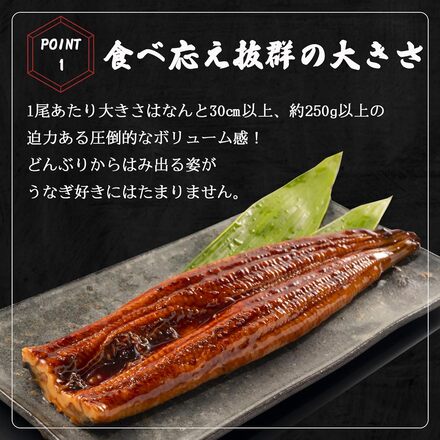 うなぎ 蒲焼き 【 超特大サイズ 6尾 】 約1.5kg お中元 ギフト 簡易包装