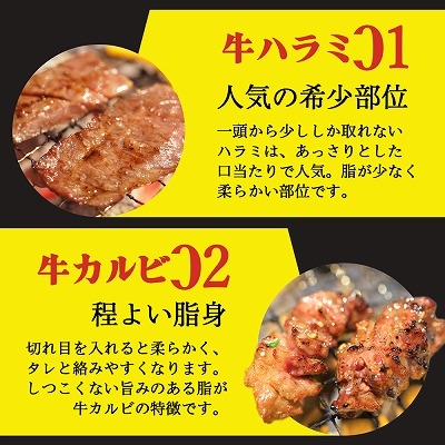 焼肉 BBQ セット 4種盛り 500g 約2人前 ハラミ カルビ ウィンナー