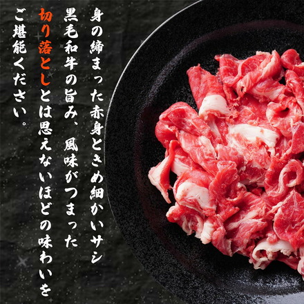 黒毛和牛 切り落とし 1kg (250g×4p) 牛肉 小分け 大容量