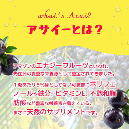 アサイー 冷凍 ピューレ 加糖 500g (100g×5袋 )