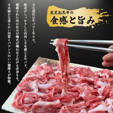 鹿児島黒牛 鹿児島牛 切り落とし 1kg (500g×2パック) 大容量 牛肉 国産