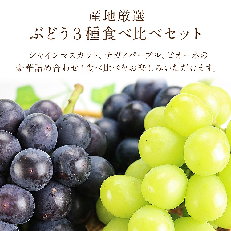 ぶどう ギフト 3種詰め合わせ 3房(1房×3種) 1.2kg シャインマスカット ナガノパープル ピオーネ 秀 産地厳選 贈答用 冷蔵便 同梱不可 指定日不可