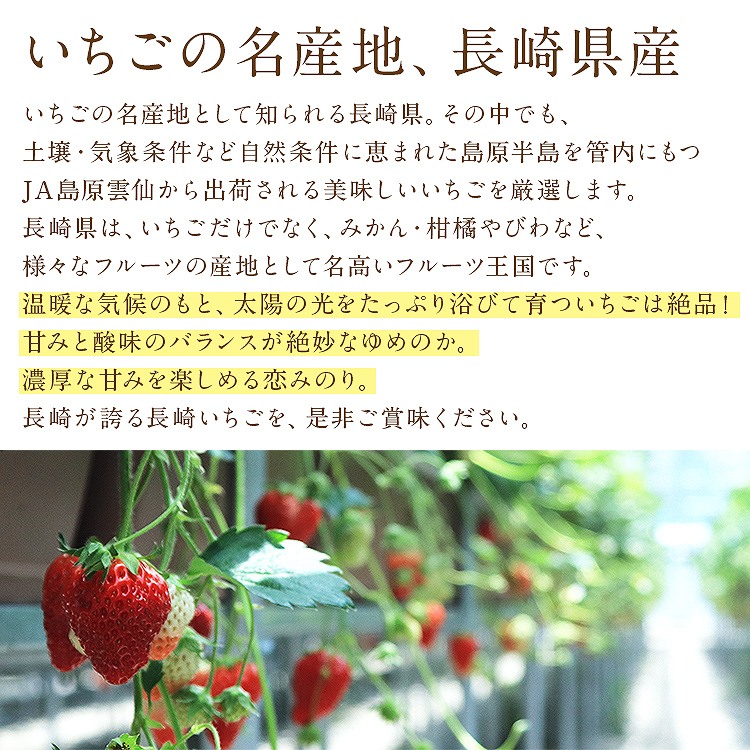 長崎いちご 長崎県産 4パック 960g (1パック240g) ゆめのか 恋みのり 品種おまかせ 秀品 冷蔵便 同梱不可 指定日不可